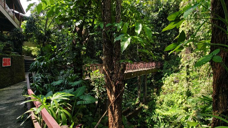 Ubud Heaven Sayan - Genel
