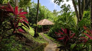Ubud Heaven Sayan fotoÄŸrafÄ±