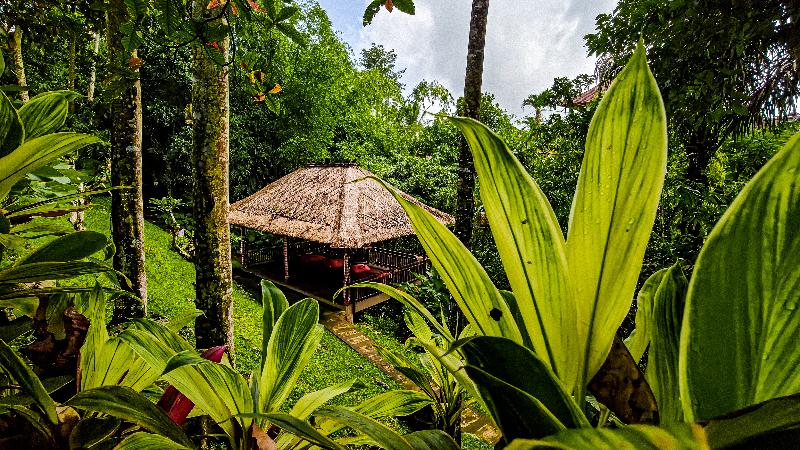 Ubud Heaven Sayan - Oda