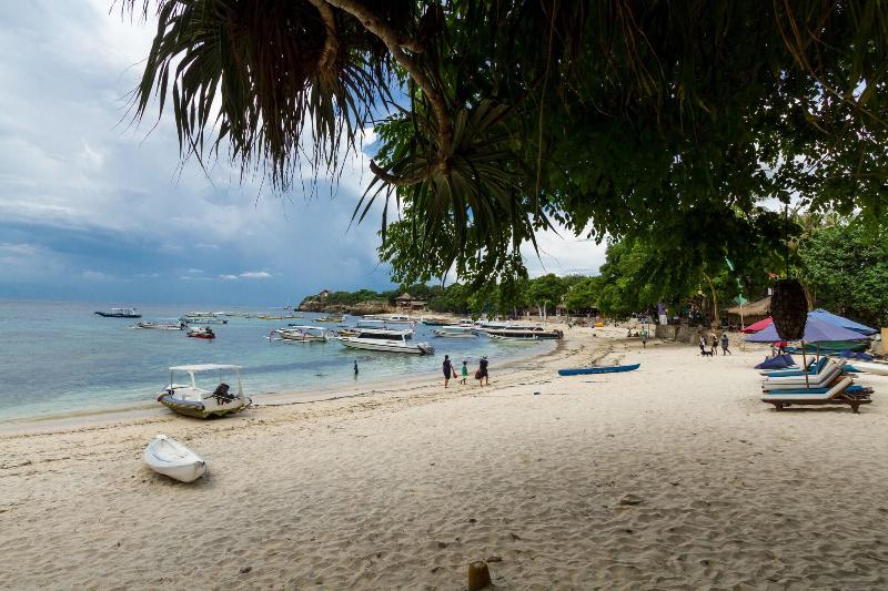 Dream Beach Cottage Lembongan - Aktivite