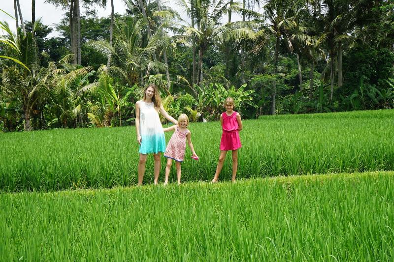 Villa Santun Ubud - Aktivite