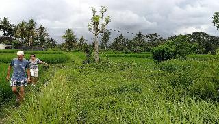 Villa Santun Ubud fotoÄŸrafÄ±