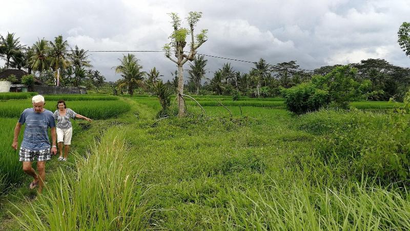 Villa Santun Ubud - Aktivite