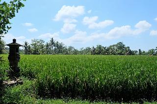 Villa Santun Ubud fotoÄŸrafÄ±