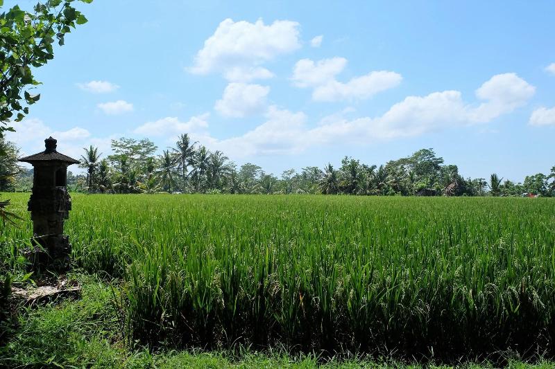 Villa Santun Ubud - Genel