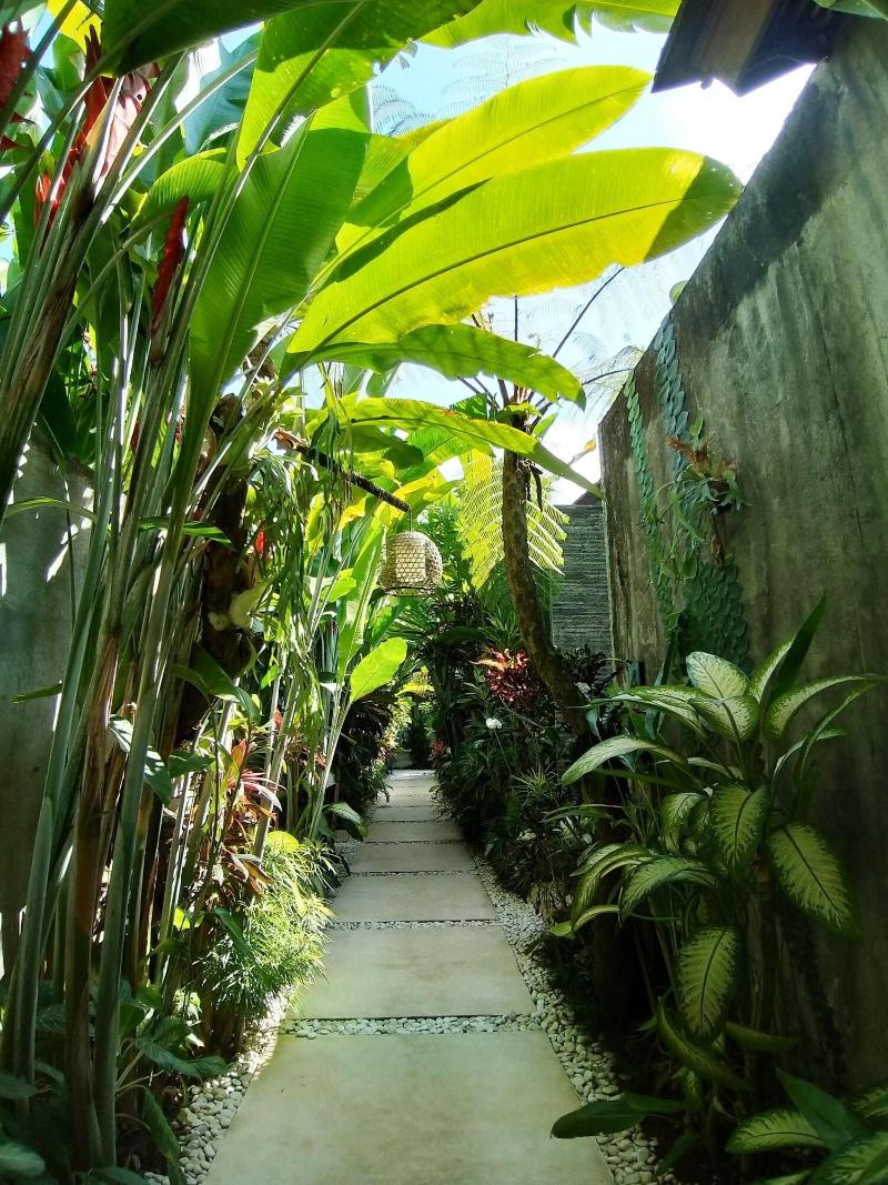 Villa Santun Ubud - Genel