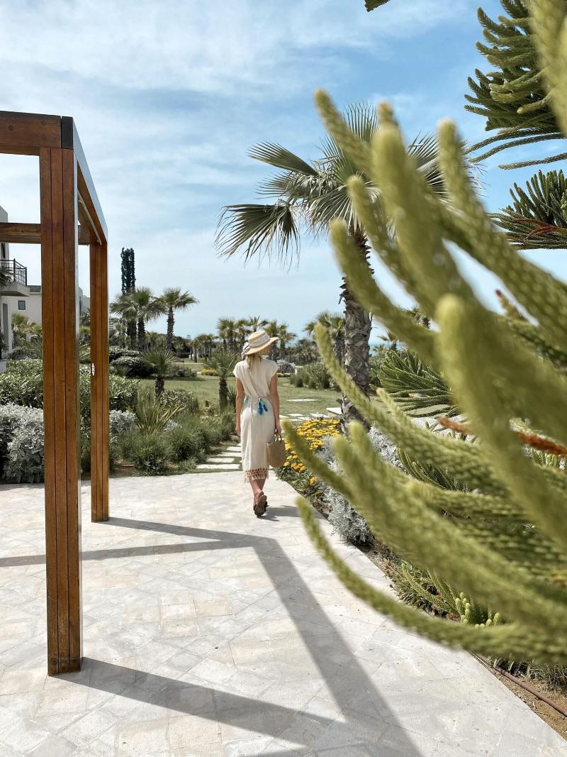Four Seasons Hotel Tunis - Teras