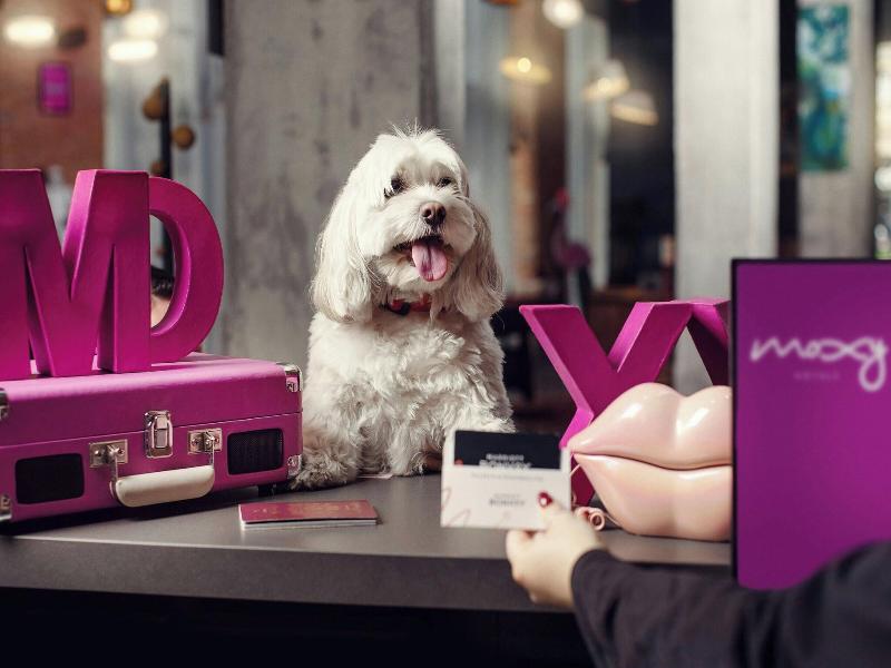 MOXY Tbilisi - Genel