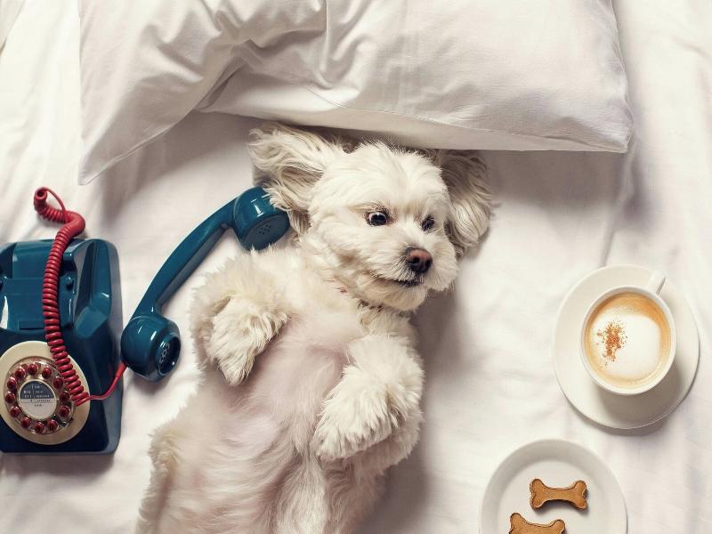 MOXY Tbilisi - Genel