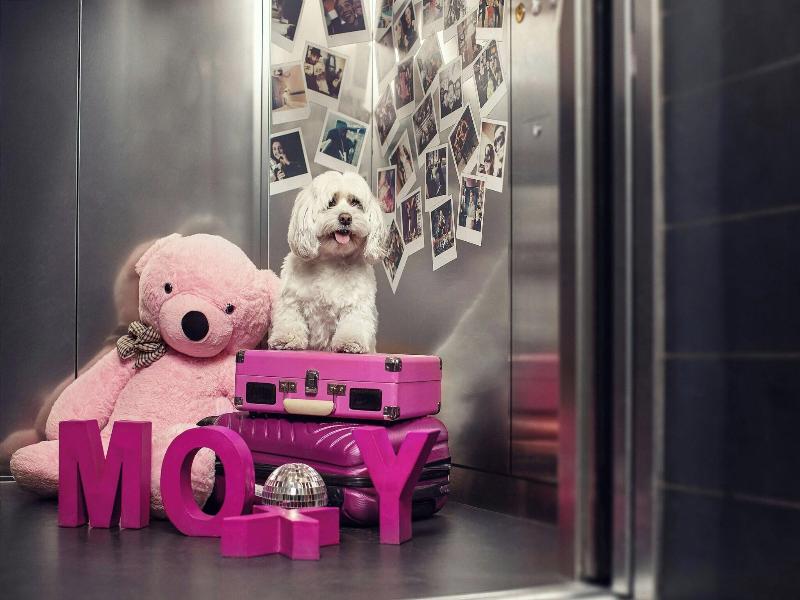 MOXY Tbilisi - Genel