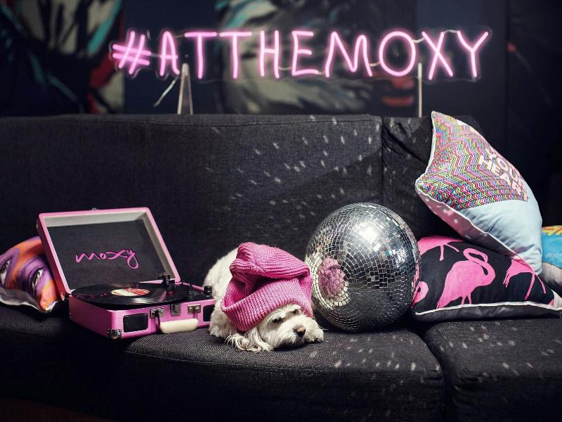 MOXY Tbilisi - Genel
