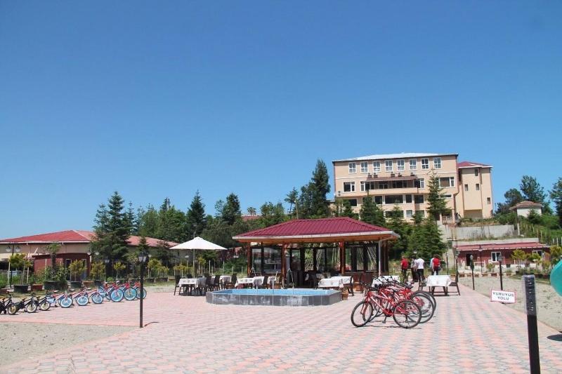 Zarha Mountain Resort - Genel