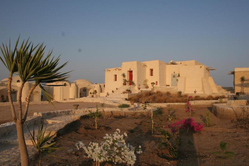 The Oasis - Oda