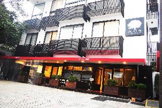 White Tree Residence otel fotoğrafı