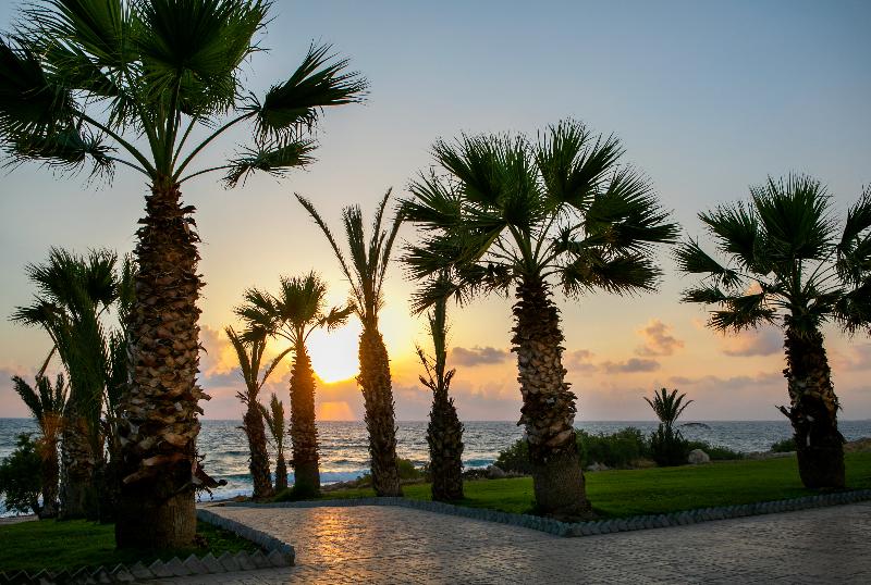 Louis Paphos Breeze - Genel