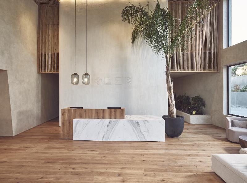 Olea All Suite Hotel - Lobi