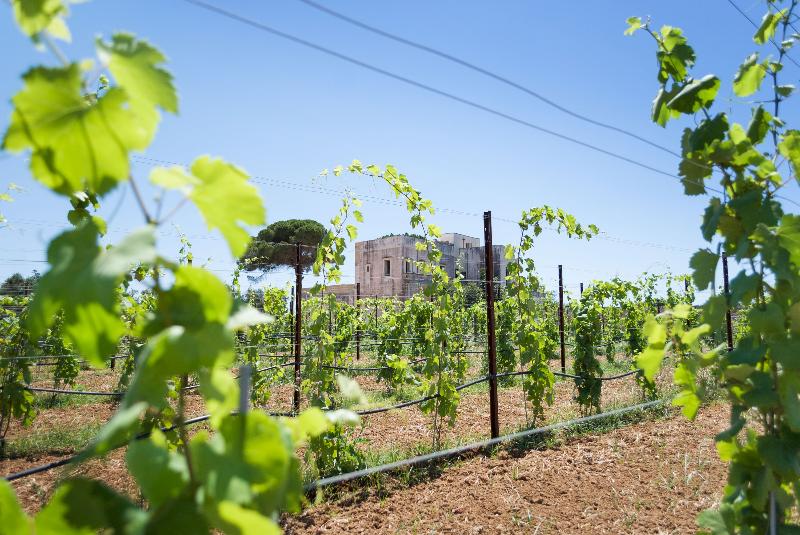 Tenuta Mose' Charming House Relais - Lobi