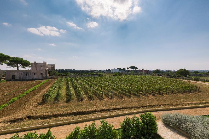 Tenuta Mose' Charming House Relais - Genel