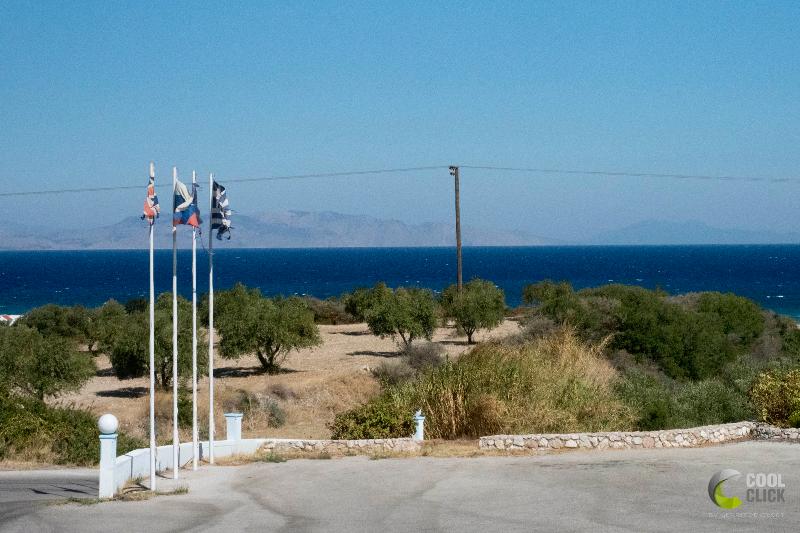 Summer View - Genel