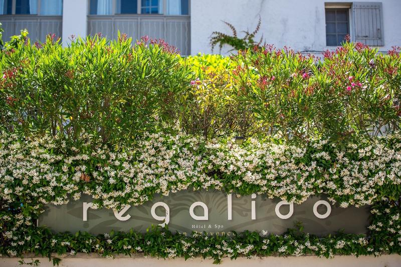 Villa Regalido - Genel