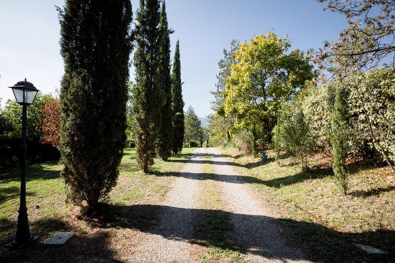 Fattoria Sant'Andrea - Genel
