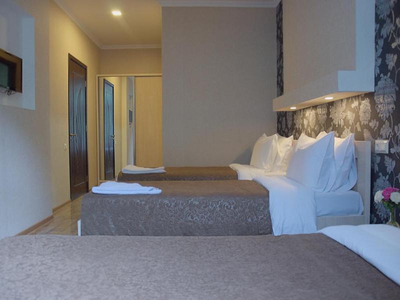 Tiflis Hotel - Oda
