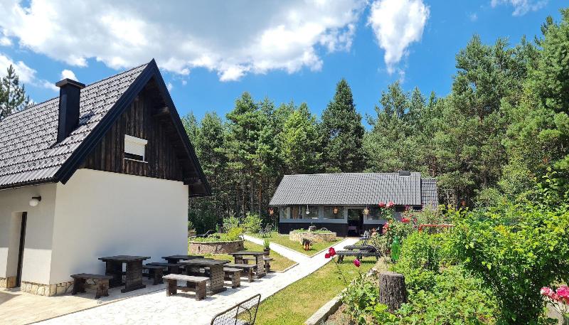 House Zeljko - Genel