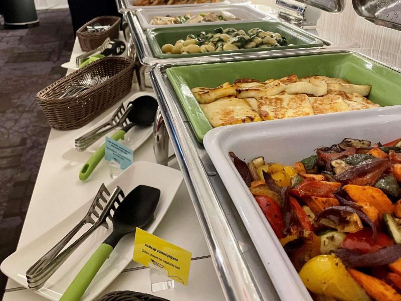 ibis Styles Budapest Airport - Toplantı