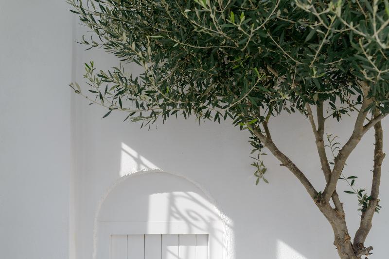 Senses Suites - Oda