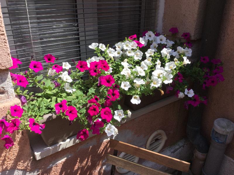 Cannaregio II Apartments - Teras