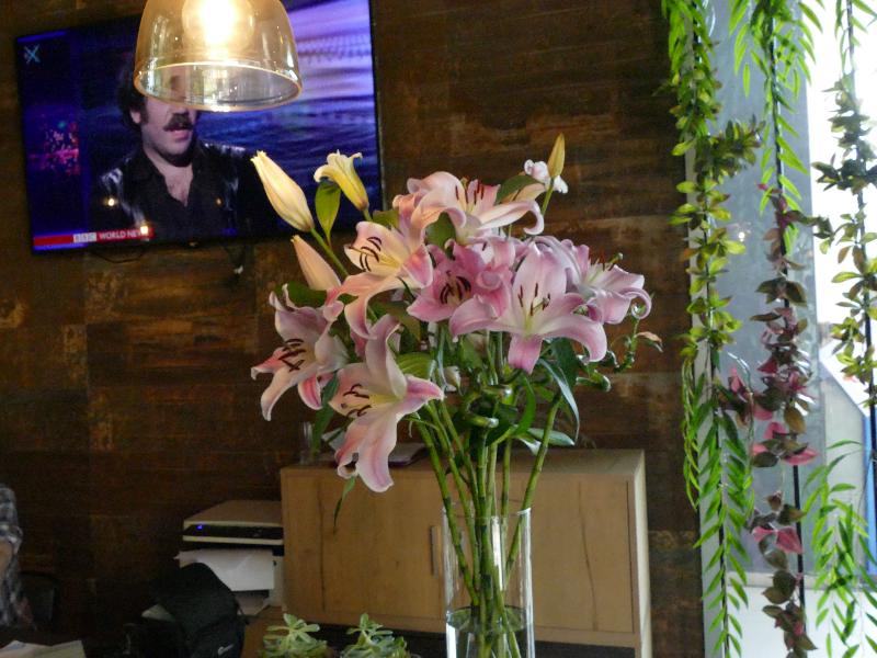 VH Premier As Tirana Hotel - Bar