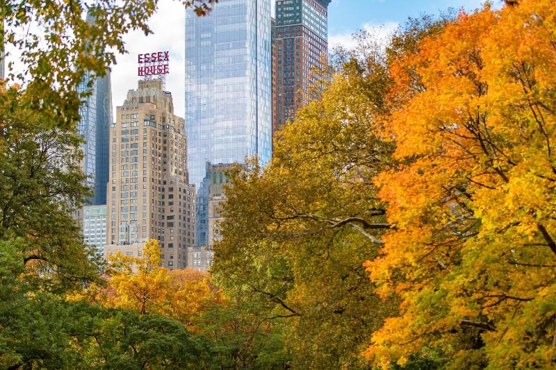 JW Marriott Essex House New York - Genel
