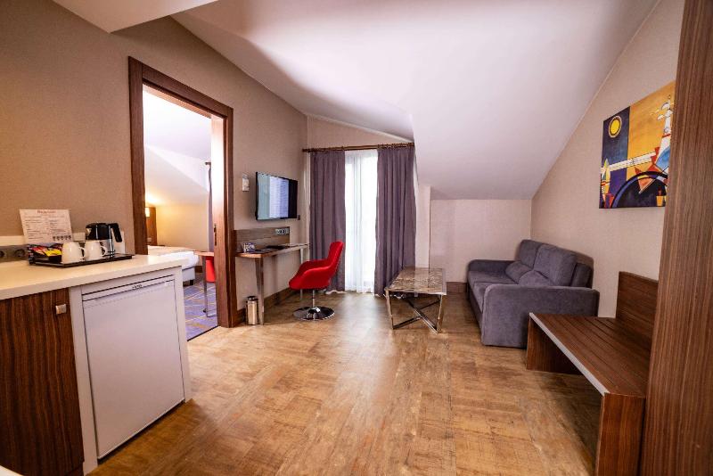 Ramada By Wyndham Istanbul Alibeykoy - Oda