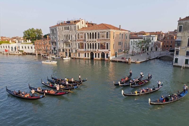 Palazzetto Pisani - Genel