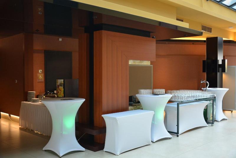 Four Points by Sheraton Kecskemet Conference - Toplantı