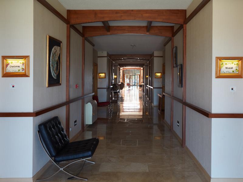 Villa Estet Bag Hotel - Lobi