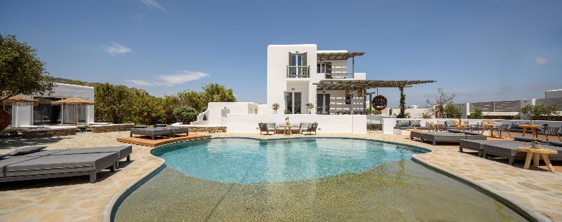 Olive Mykonos Villas - Havuz
