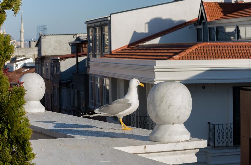 Bizim Otel - Teras