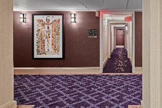 The Lexington Hotel, Autograph Collection fotoÄŸrafÄ±