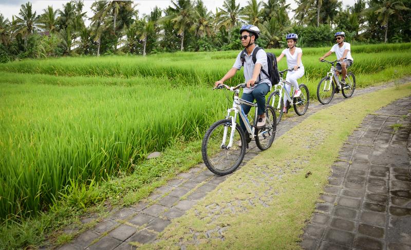 Purana Boutique Resort - Aktivite