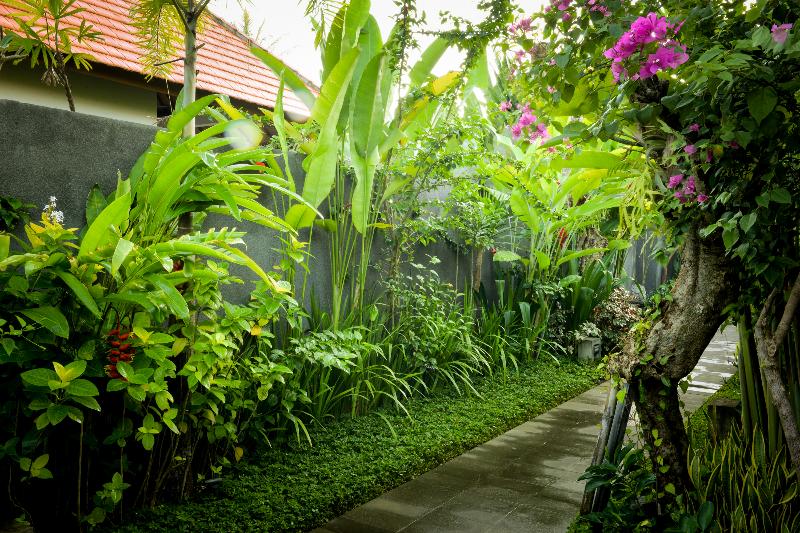 Purana Boutique Resort - Genel