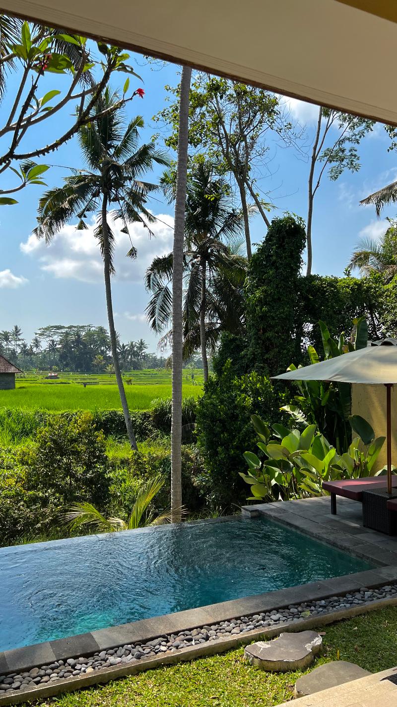 Kubu Bali Baik Villa & Resort - Genel