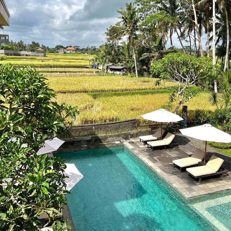 Kubu Bali Baik Villa & Resort - Genel