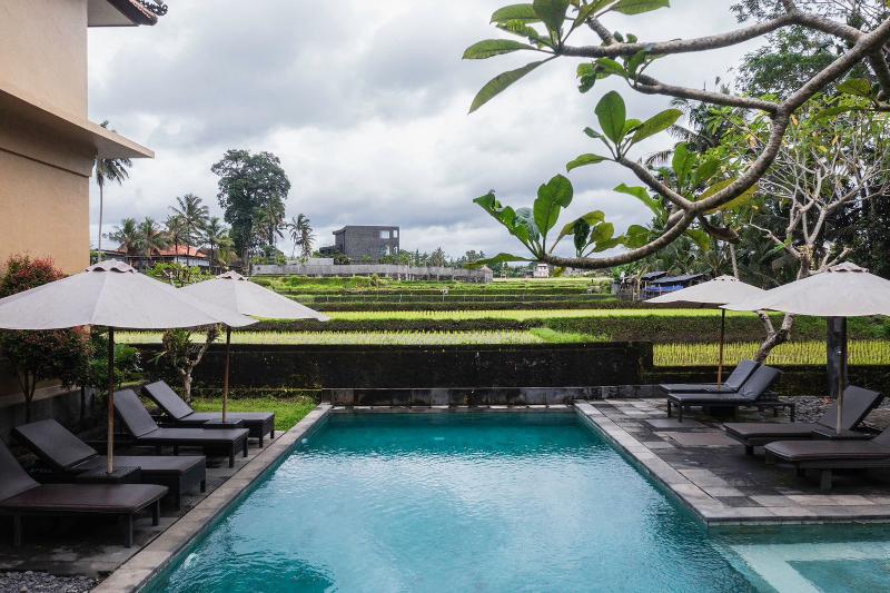Kubu Bali Baik Villa & Resort - Havuz