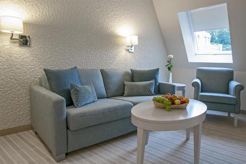 Dorint Parkhotel Meissen - Oda