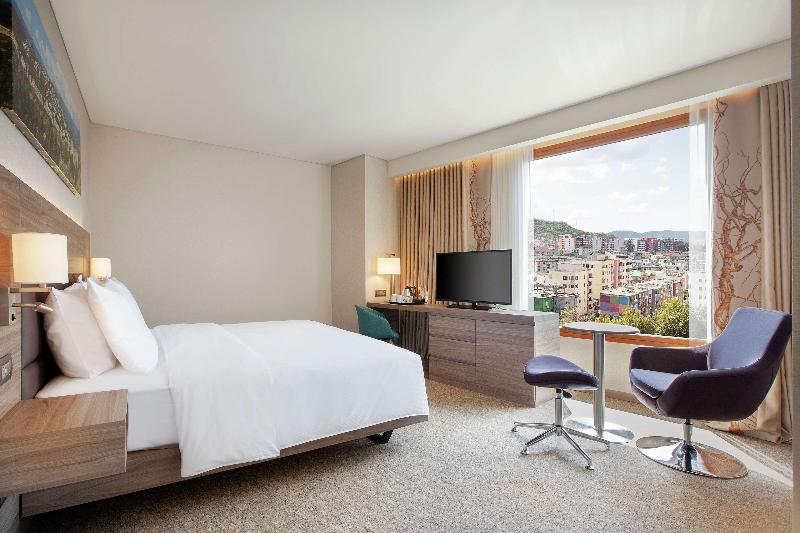 Hilton Garden Inn Tirana, Albania - Oda