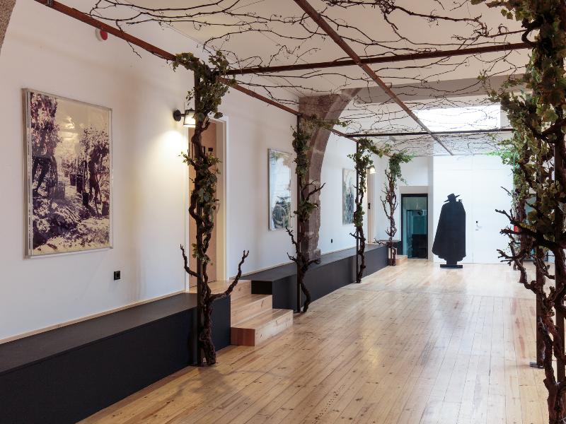 The House of Sandeman – Hostel & Suites - Oda
