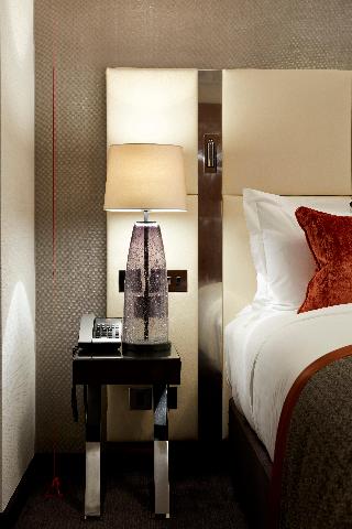 Hyatt Regency London Albert Embankment fotoÄŸrafÄ±