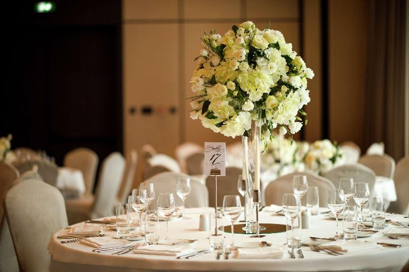Hilton Belgrade - Toplantı