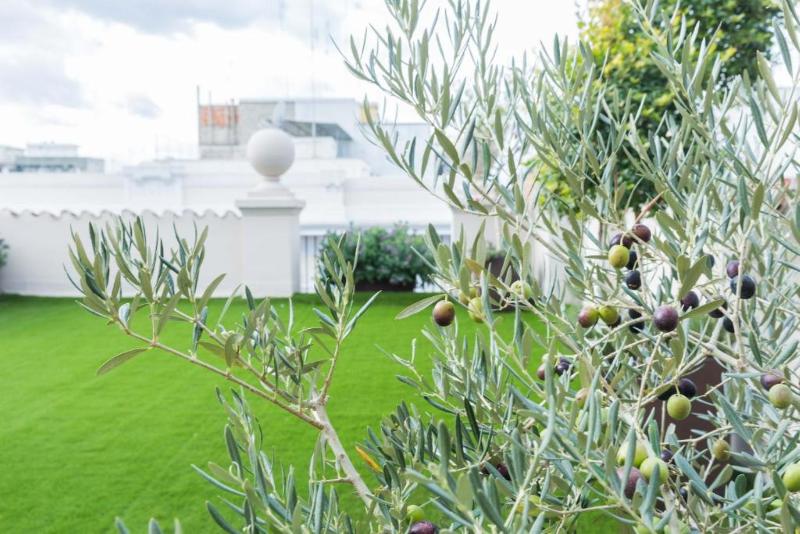 200 Rooms & Terrace - Genel